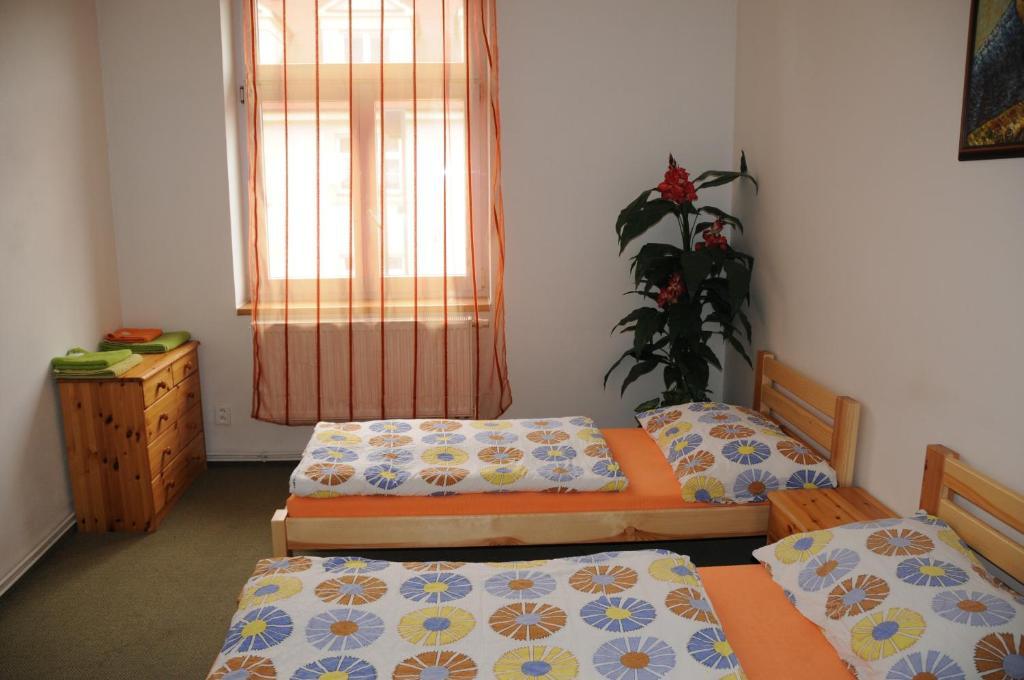Penzion Pupendo Hradec Králové Zewnętrze zdjęcie